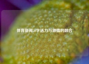 体育新闻50字活力与激情的融合