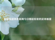 新浪英超体育新闻今日精彩纷呈的足球盛宴