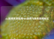 nba新闻体育新闻NBA新闻与体育新闻概览