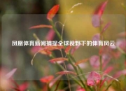 凤凰体育新闻捕捉全球视野下的体育风云