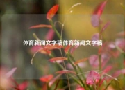 体育新闻文字稿体育新闻文字稿