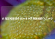体育新闻报道作文200字体育新闻报道作文200字