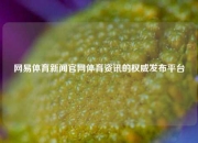 网易体育新闻官网体育资讯的权威发布平台