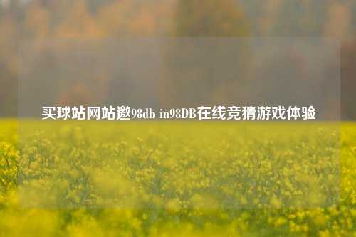 买球站网站邀98db in98DB在线竞猜游戏体验