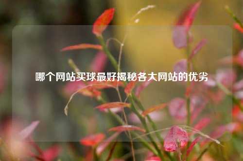 哪个网站买球最好揭秘各大网站的优劣
