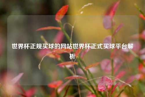 世界杯正规买球的网站世界杯正式买球平台解析