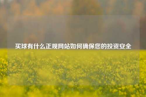 买球有什么正规网站如何确保您的投资安全