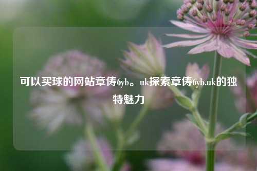 可以买球的网站章俦6yb。uk探索章俦6yb.uk的独特魅力