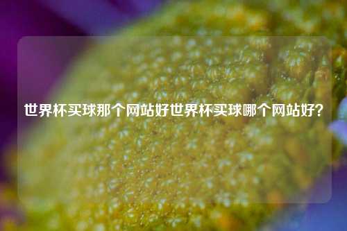 世界杯买球那个网站好世界杯买球哪个网站好？