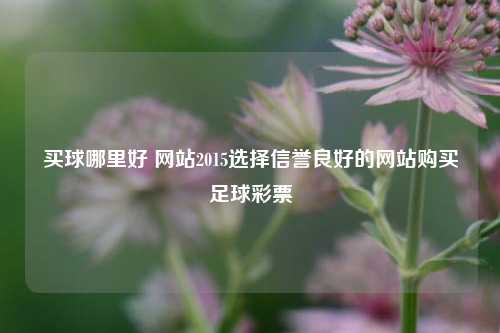 买球哪里好 网站2015选择信誉良好的网站购买足球彩票