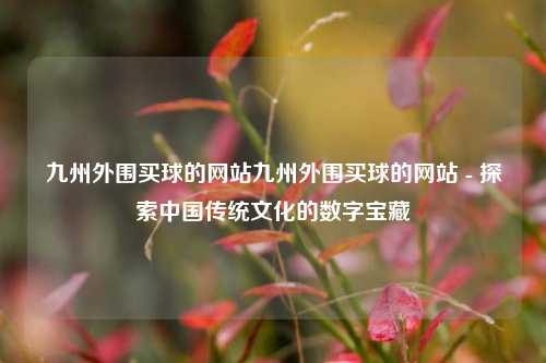 九州外围买球的网站九州外围买球的网站 - 探索中国传统文化的数字宝藏