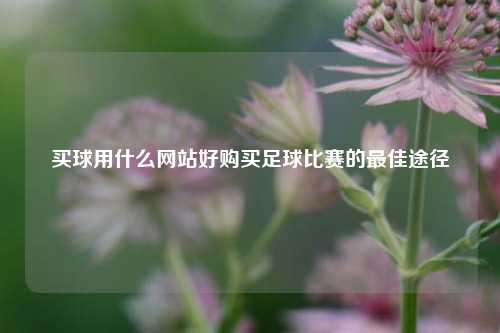 买球用什么网站好购买足球比赛的最佳途径