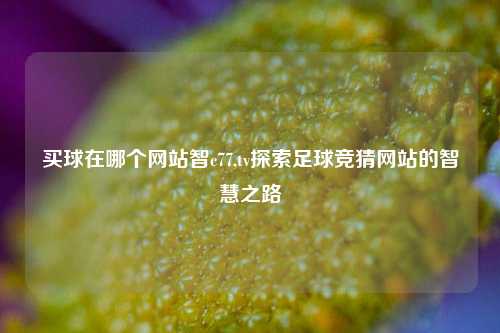 买球在哪个网站智c77,tv探索足球竞猜网站的智慧之路