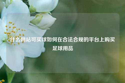 什么网站可买球如何在合法合规的平台上购买足球用品